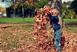 公園の落ち葉で遊ぶ子供