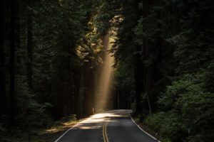 木々の間から木漏れ日に照らされる道路